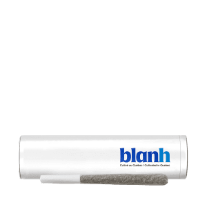 Blanh Sativa