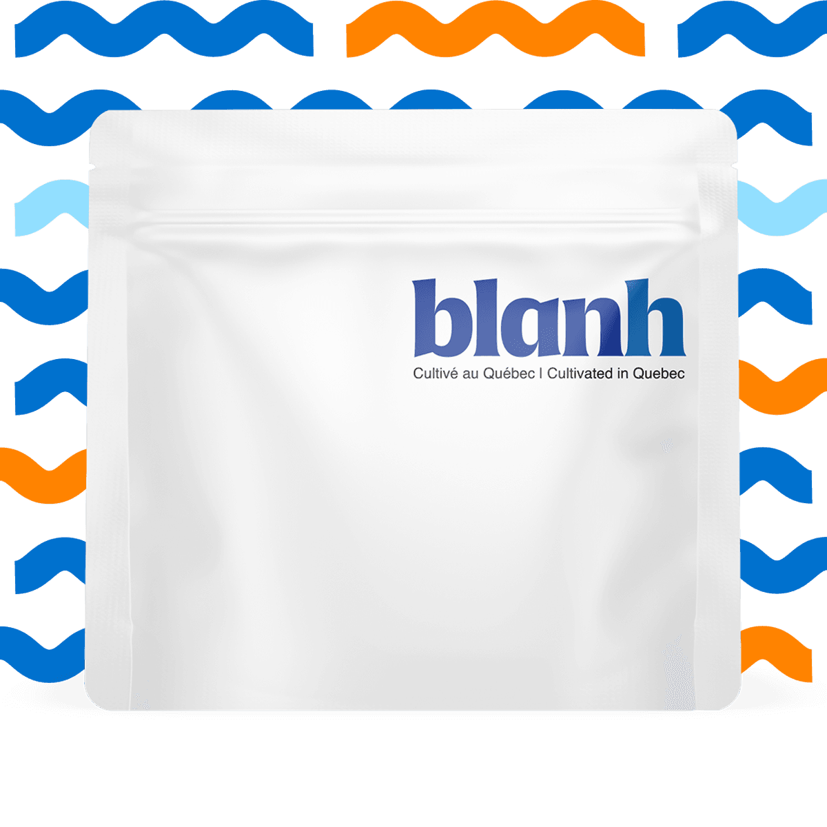 Blanh Hybride