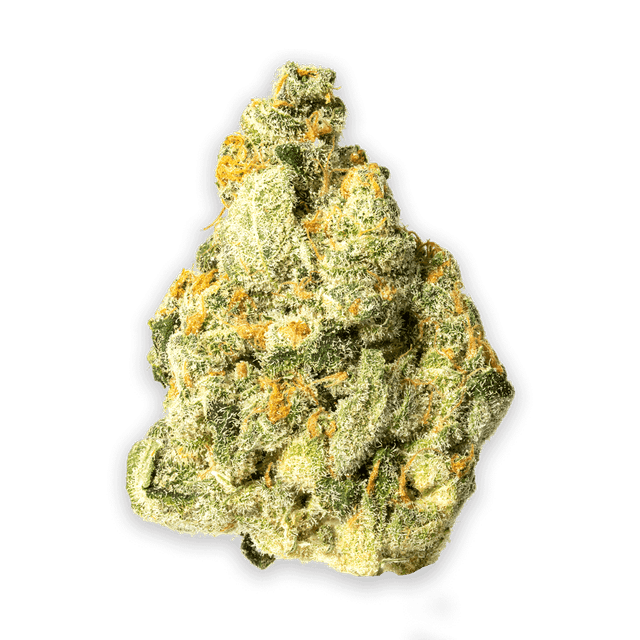 Citrus Tsunami