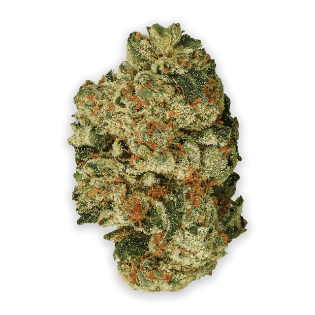 Jet Fuel Gelato