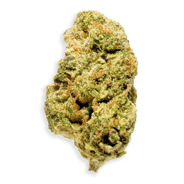 GSC Kush