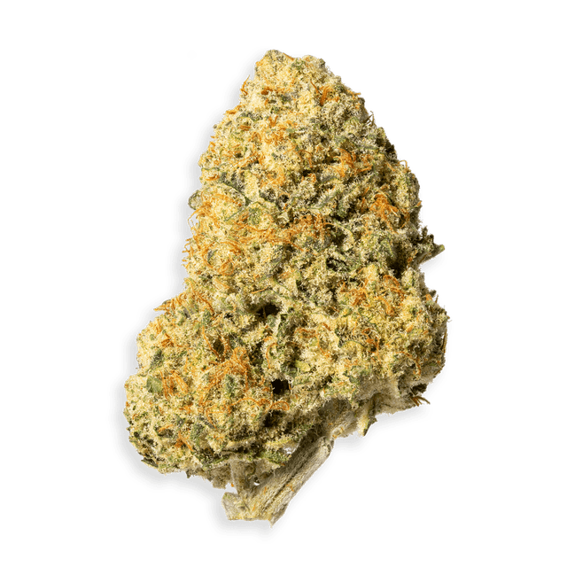 Dosi-Orange #9