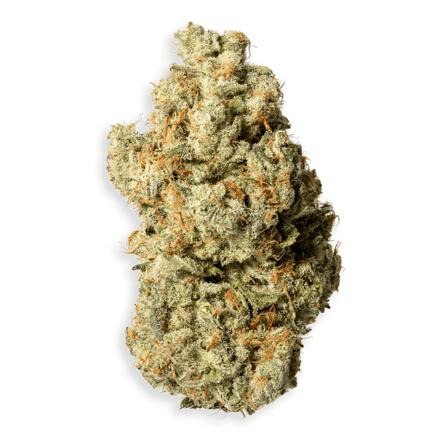 Jet Fuel