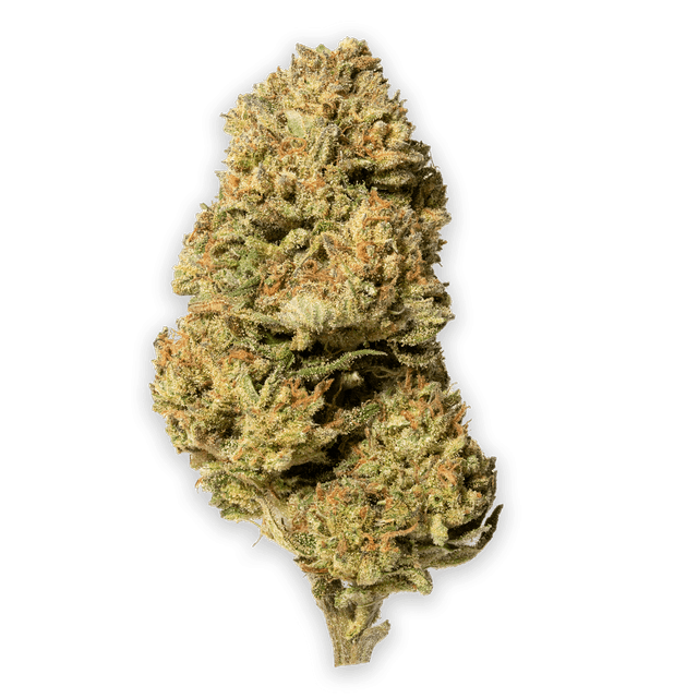 Garlic Cookies